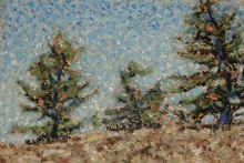 Pines-Oil Pastel Painting