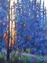 Can't See the Forest for the Trees- Soft pastel Painting