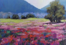 Carpet of Fireweed, Soft Pastel Painting
