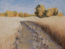 Fall Road in Field- Soft Pastel Painting