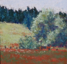 Willows NO2-Soft Pastel Painting